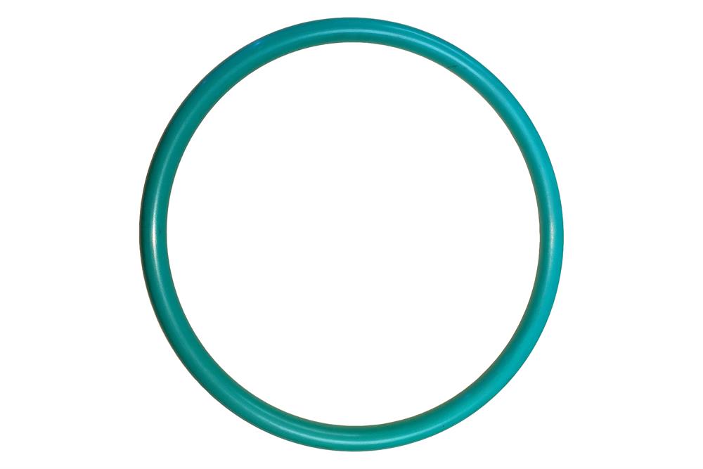 The O-Ring for Cold Trap for Recovering Condensables - EQ-CCT-OR-LD - Thasar Store