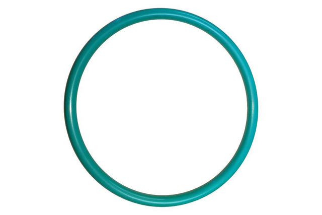 The O-Ring for Cold Trap for Recovering Condensables - EQ-CCT-OR-LD - Thasar Store