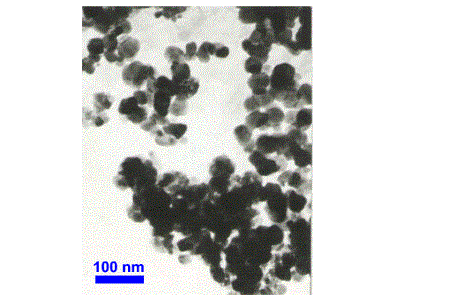 100 g Mn2O3 (99.5 %, 60 nm) Nanopowder - NPMn2O3 - Thasar Store