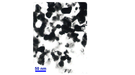 MoS2 (99.5%, 1 um) Powder (50 g ) - NP-MoS2-1u - Thasar Store