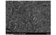 Silicon/Carbon (Si/C) Composite Powder as Lithium Ion Battery Anode, 200g/bottle - EQ-Lib-SC450B - Thasar Store