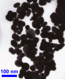 50 g Ag (99.9+ %, 40-50 nm) Nanopowder - NPAg - Thasar Store