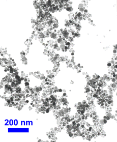 100 g Fe3O4 (99.9%, 20 nm) Nanopowder - NPFe3O4 - Thasar Store