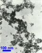 100 g Nickel (99.8%, 50 nm) Nanopowder - Thasar Store