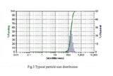 LSM25: (La0.75Sr0.25) 0.95MnO3- / LSM Powder for Plasma Spraying, 500g/Pack - Lib-LSM - Thasar Store